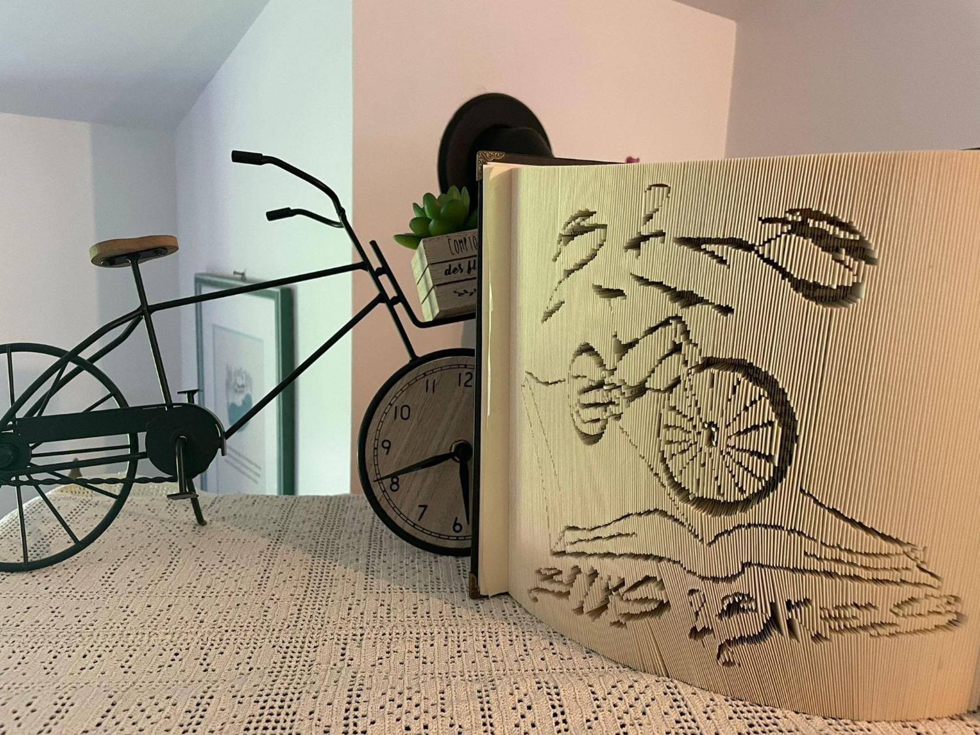 B&B Books & Bikes 布亚 外观 照片